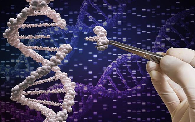 基因编辑革命，从精准医疗到生命重塑的突破性进展