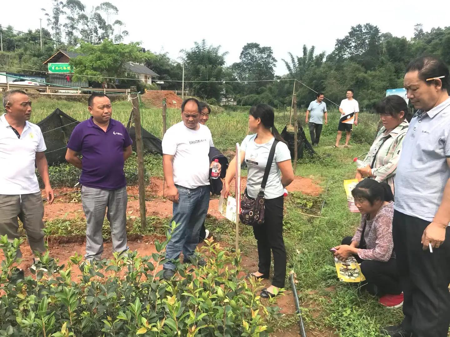 科技赋能解锁智能农业产量跃升密码