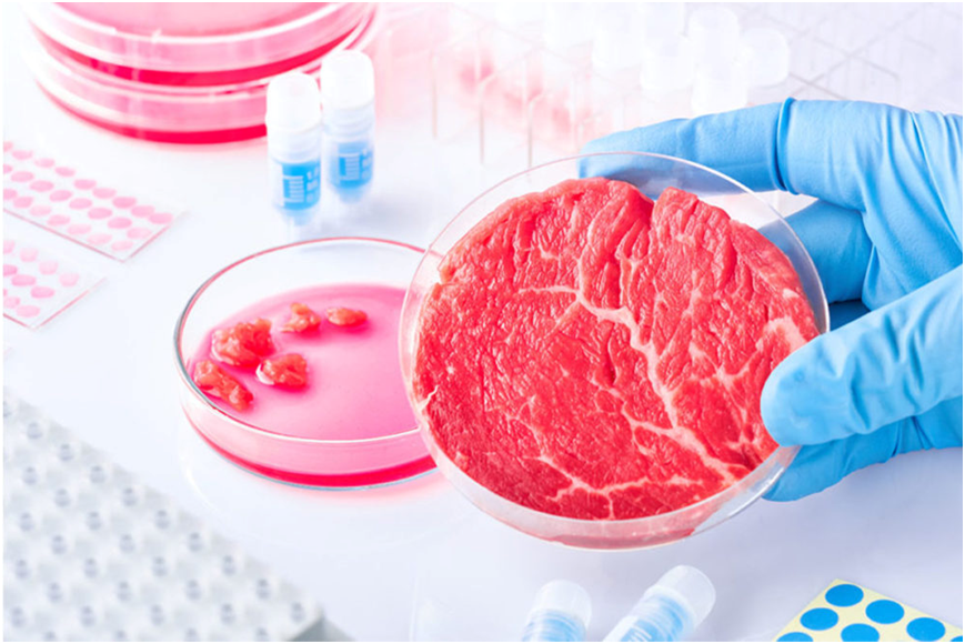 实验室培育肉，科技革命下的可行性探索与未来挑战