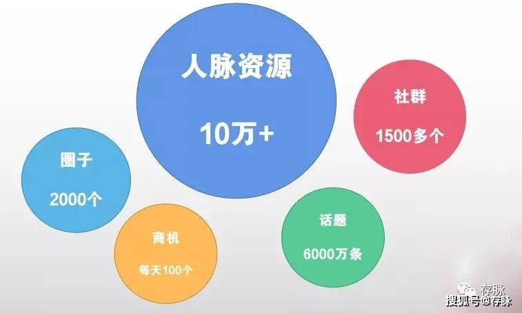 高效扩人脉，必试的优质平台推荐