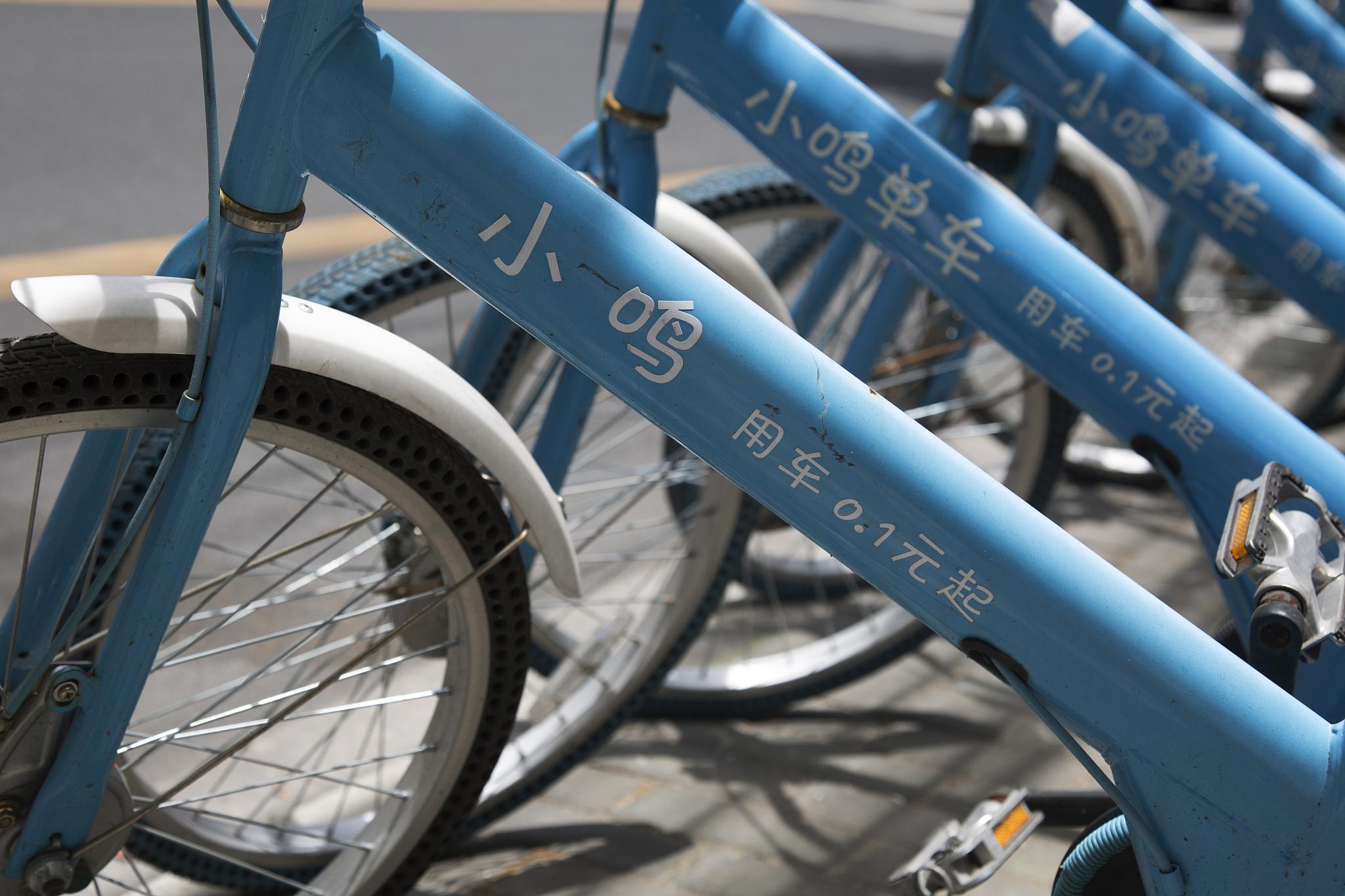 知识共享新生态，十大APP深度解析与场景应用指南