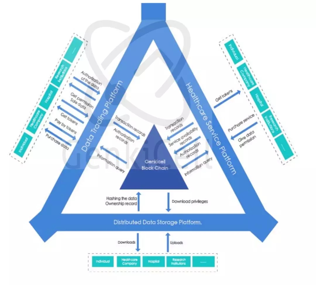 HNB Protocol，加密市场视角下的医疗区块链革命——投资价值与生态增长机遇