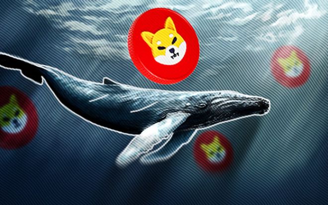 柴犬区块链新纪元，Shibarium上线18个月成果与交易量展望