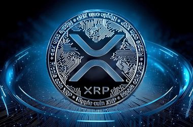 XploraDEX，正悄然成为XRP区块链上最大的DeFi机会——加入$Xpl预售，共创辉煌