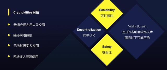 马斯克的政府效率区块链，挑战与机遇并存
