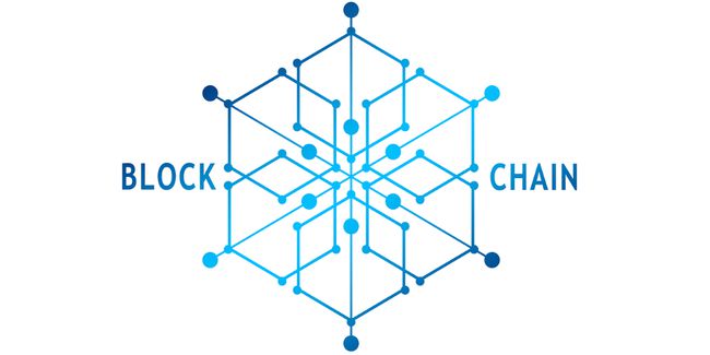 马斯克的政府效率区块链，挑战与机遇