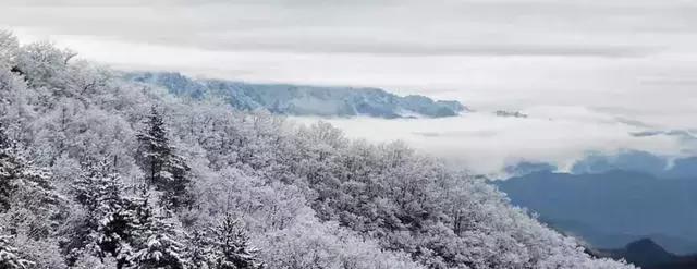 仙境传说，创世纪盛大发布会，揭开新纪元序幕的奇幻之旅