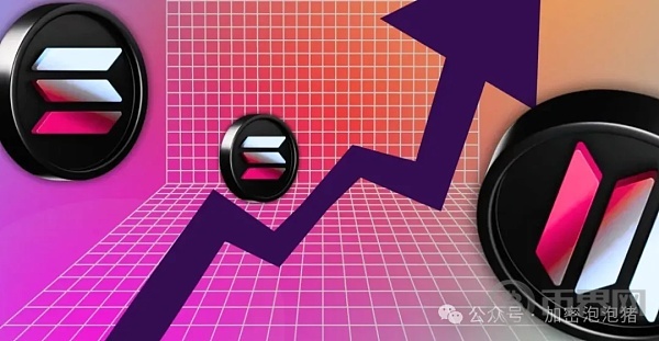 Solana价格动态与市场情绪飙升分析