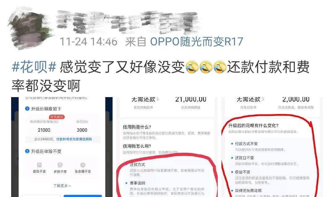 验证器更新为XRP账本用户提供关键服务，深度解析其重要性