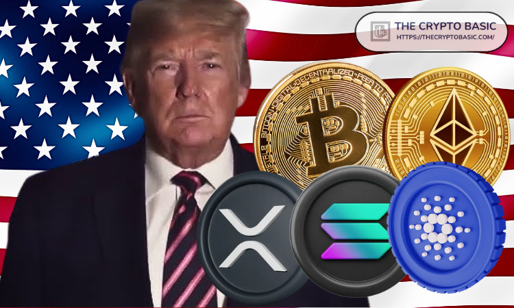 特朗普首次内阁会议与比特币暴跌，一场特殊的金融对话