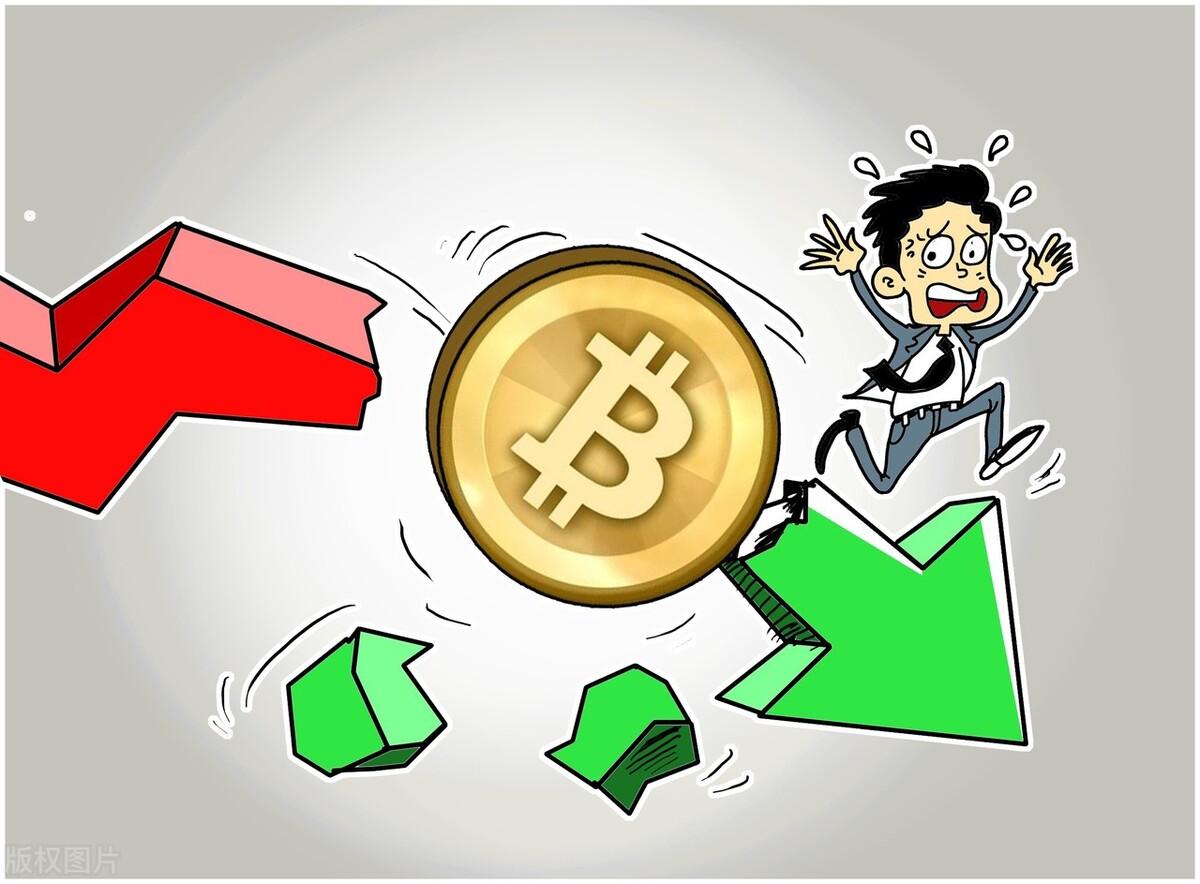 狗狗币价值深度解析，链上指标见底与马斯克效应下的历史性抄底机遇