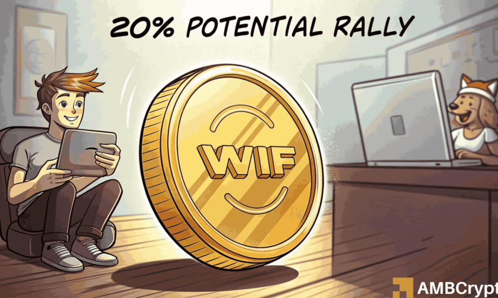 WIF价格面临风险，因为Dogwifhat外汇流入增加，聪明的钱卖出