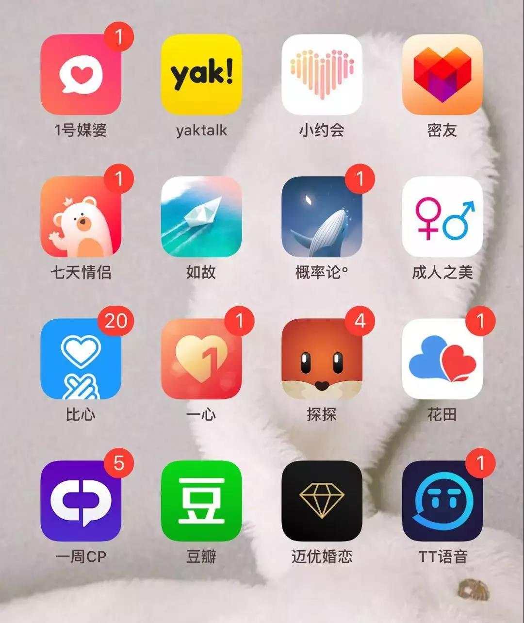 兴趣伙伴速配全指南，社交与技能共享APP精选推荐