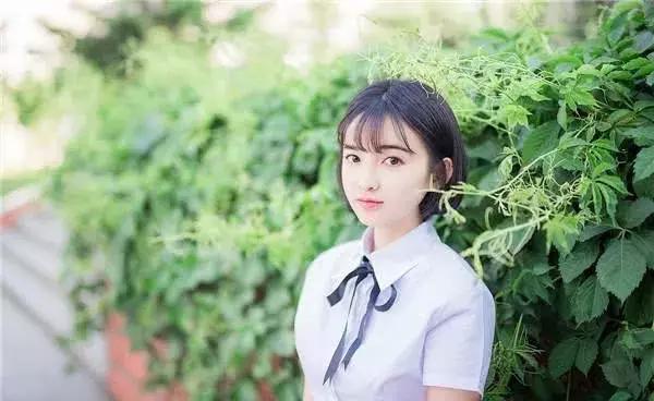 解码深度信任，哪些聊天软件能架起信任桥梁